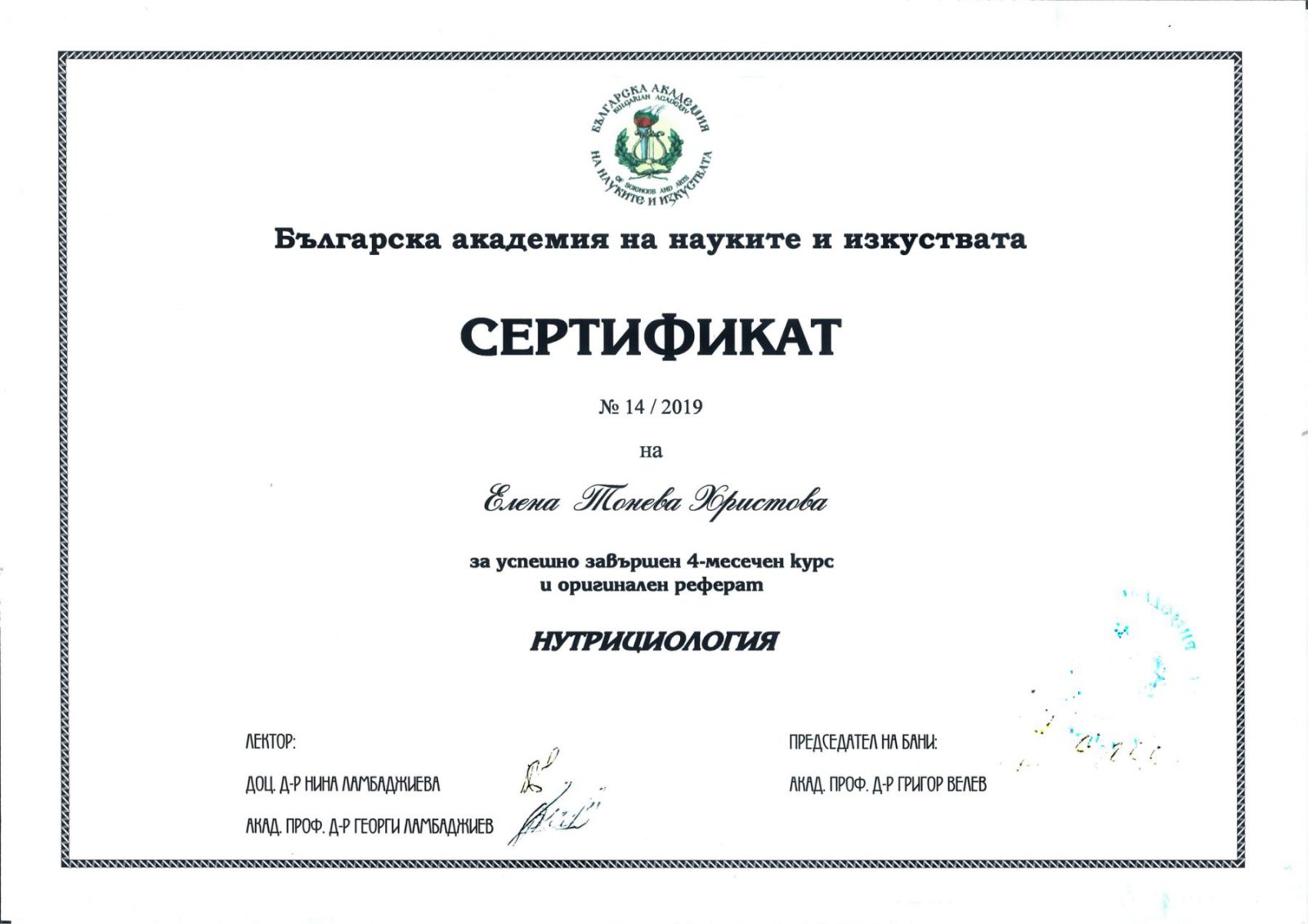 Сертификат 2